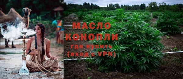 шишки Кинешма