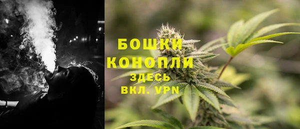 2c-b Каменногорск