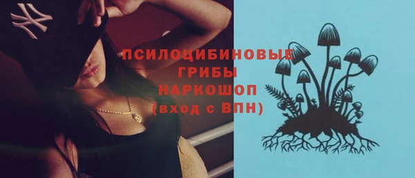 спиды Киреевск