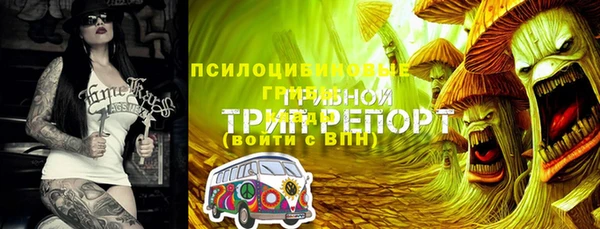 шишки Кинешма